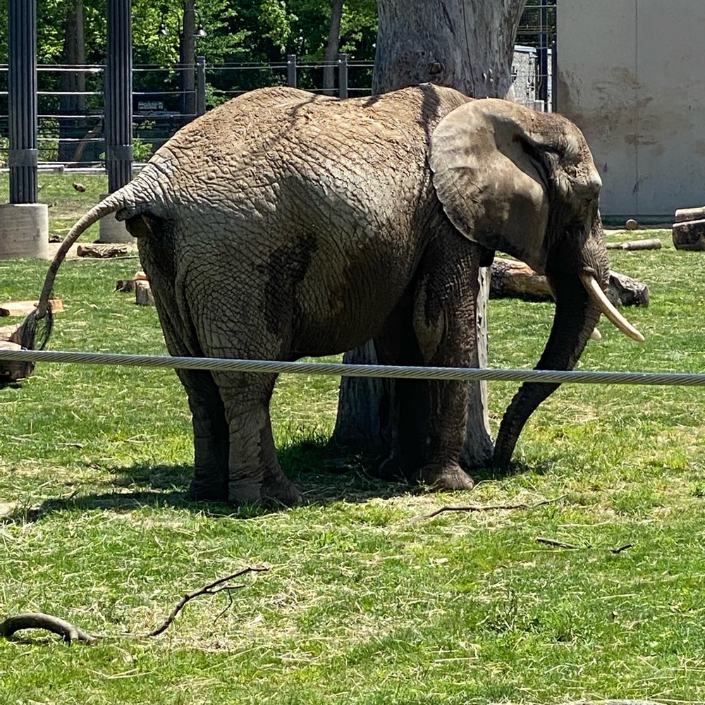 Meet your Posher, Dianna